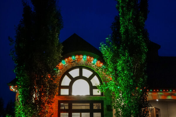 track lights & flood lights