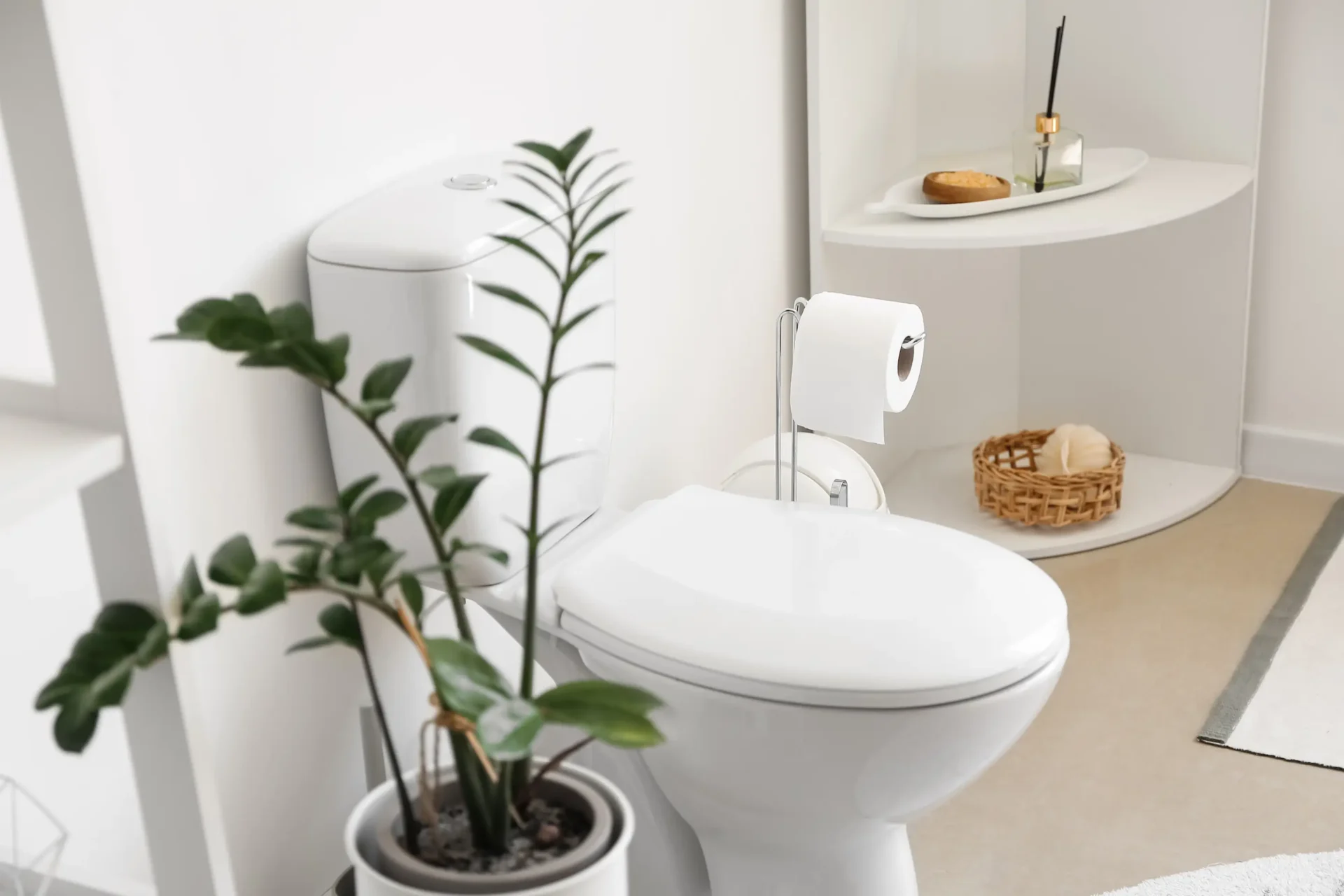 A new comfort height toilet